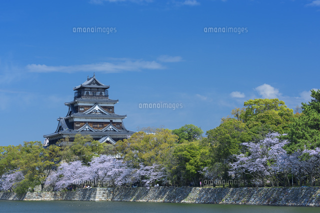 桜の広島城
(c)NOBUAKI SUMIDA/SEBUN PHOTO