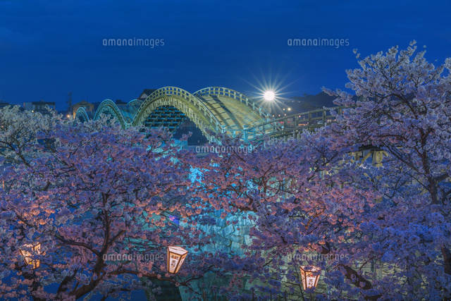 夜桜の錦帯橋
(c)NOBUAKI SUMIDA/SEBUN PHOTO