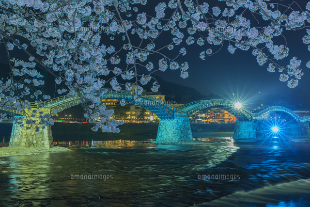 夜桜の錦帯橋
(c)NOBUAKI SUMIDA/SEBUN PHOTO