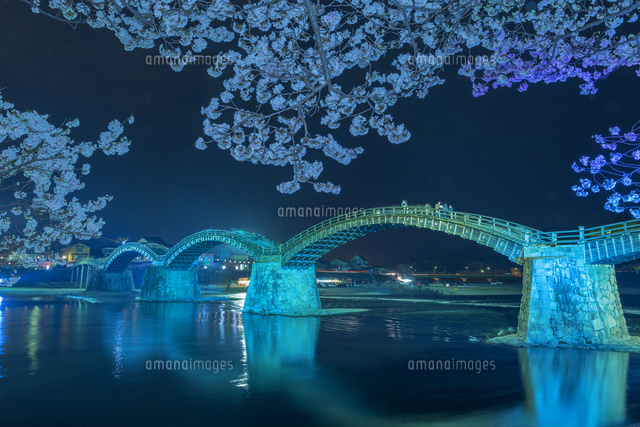 夜桜の錦帯橋
(c)NOBUAKI SUMIDA/SEBUN PHOTO
