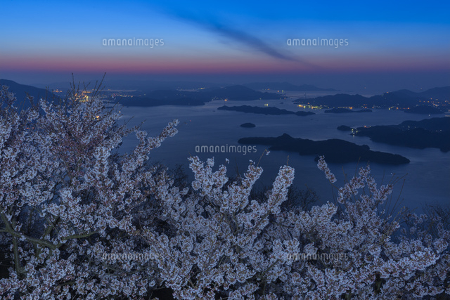 竜王山と桜の朝焼け
(c)NOBUAKI SUMIDA/SEBUN PHOTO