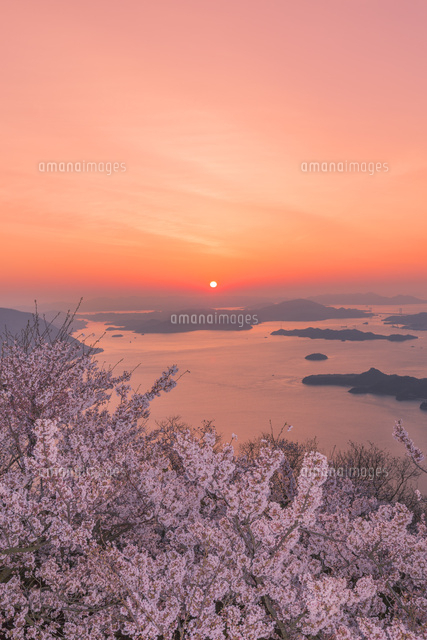 竜王山と桜の朝日
(c)NOBUAKI SUMIDA/SEBUN PHOTO