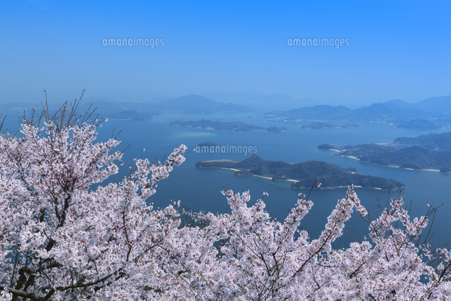 竜王山と桜
(c)NOBUAKI SUMIDA/SEBUN PHOTO