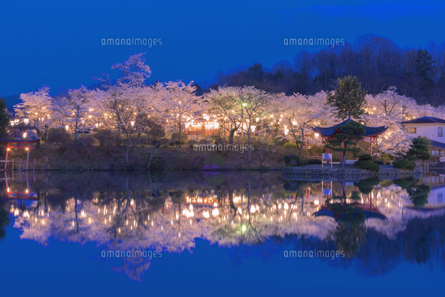 桜の上野公園の夕景
(c)NOBUAKI SUMIDA/SEBUN PHOTO