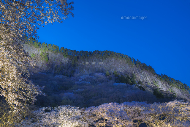 屏風岩と桜と夕景
(c)NOBUAKI SUMIDA/SEBUN PHOTO