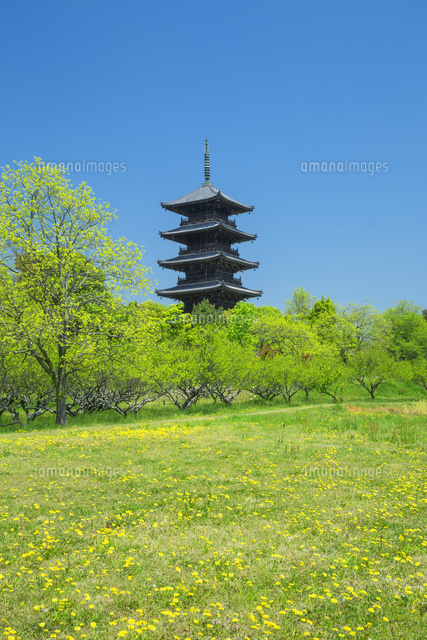 春の備中国分寺の五重塔
(c)NOBUAKI SUMIDA/SEBUN PHOTO