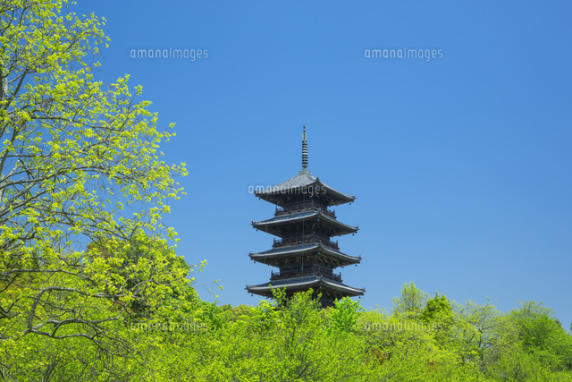 春の備中国分寺の五重塔
(c)NOBUAKI SUMIDA/SEBUN PHOTO
