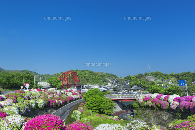 ツツジと音戸大橋
(c)NOBUAKI SUMIDA/SEBUN PHOTO