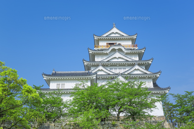 新緑の福山城
(c)NOBUAKI SUMIDA/SEBUN PHOTO
