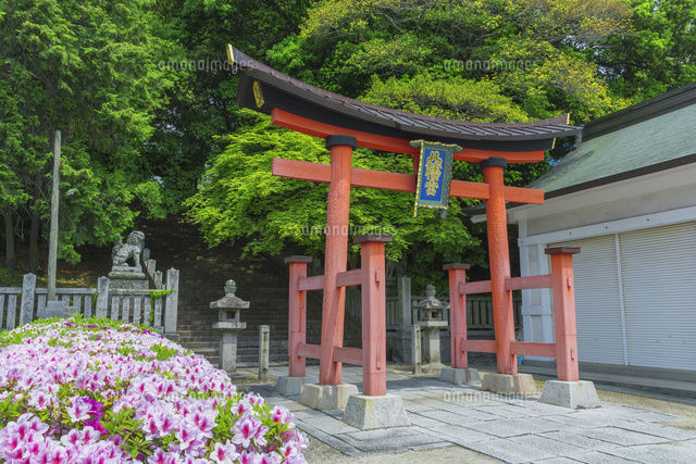 福山八幡宮とツツジ
(c)NOBUAKI SUMIDA/SEBUN PHOTO