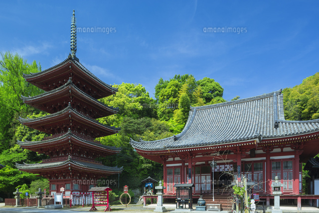 新緑の明王院
(c)NOBUAKI SUMIDA/SEBUN PHOTO