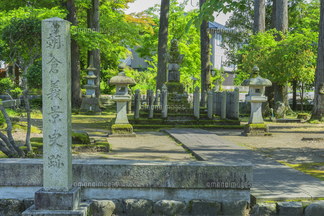 新緑の朝倉義景の墓
(c)NOBUAKI SUMIDA/SEBUN PHOTO
