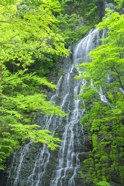 新緑の龍双ケ滝
(c)NOBUAKI SUMIDA/SEBUN PHOTO