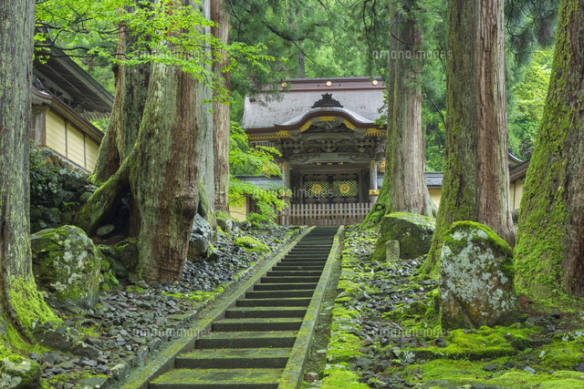 新緑の永平寺の唐門
(c)NOBUAKI SUMIDA/SEBUN PHOTO