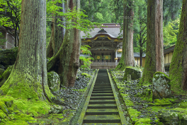 新緑の永平寺の唐門
(c)NOBUAKI SUMIDA/SEBUN PHOTO