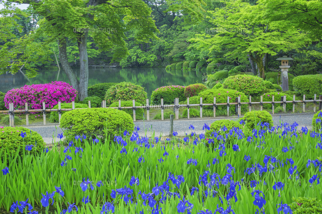 新緑の兼六園とカキツバタ
(c)NOBUAKI SUMIDA/SEBUN PHOTO