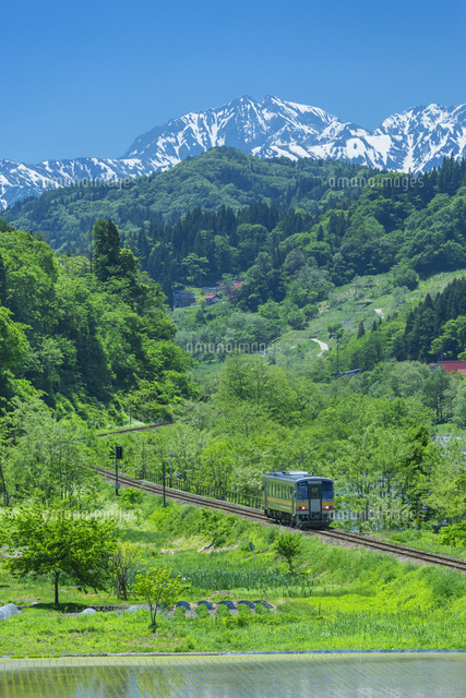 北アルプスと電車と水田
(c)NOBUAKI SUMIDA/SEBUN PHOTO