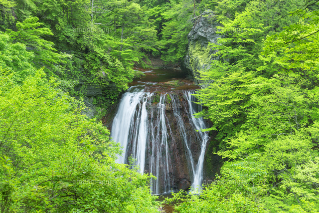 新緑の王滝
(c)NOBUAKI SUMIDA/SEBUN PHOTO