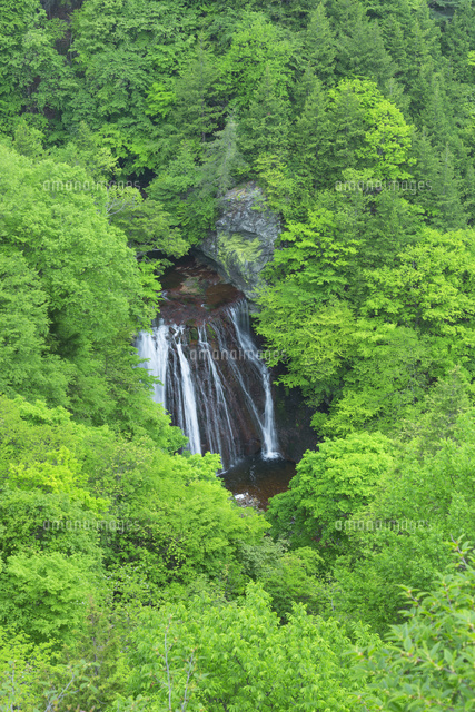新緑の王滝
(c)NOBUAKI SUMIDA/SEBUN PHOTO