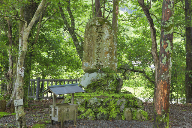 近露王子
(c)NOBUAKI SUMIDA/SEBUN PHOTO
