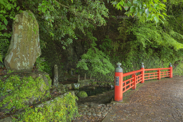 春の野中の清水
(c)NOBUAKI SUMIDA/SEBUN PHOTO