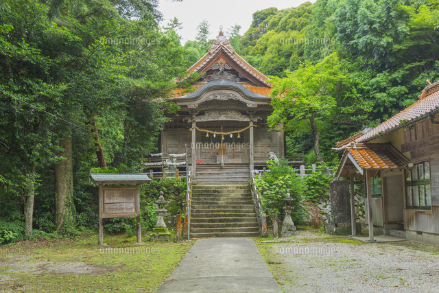 夏の戸田柿本神社
(c)NOBUAKI SUMIDA/SEBUN PHOTO