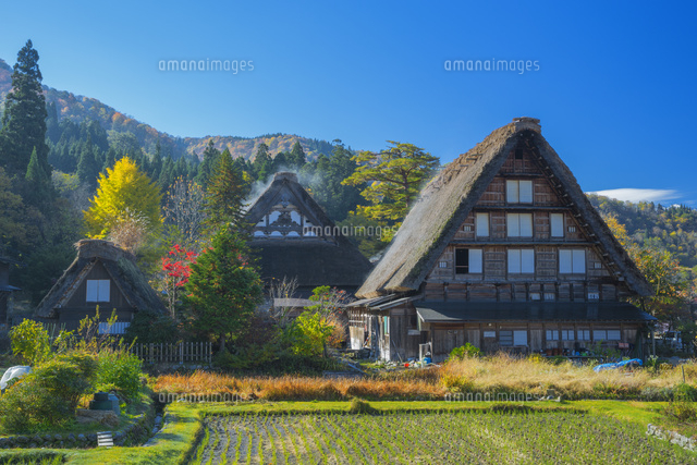 秋の白川郷
(c)NOBUAKI SUMIDA/SEBUN PHOTO
