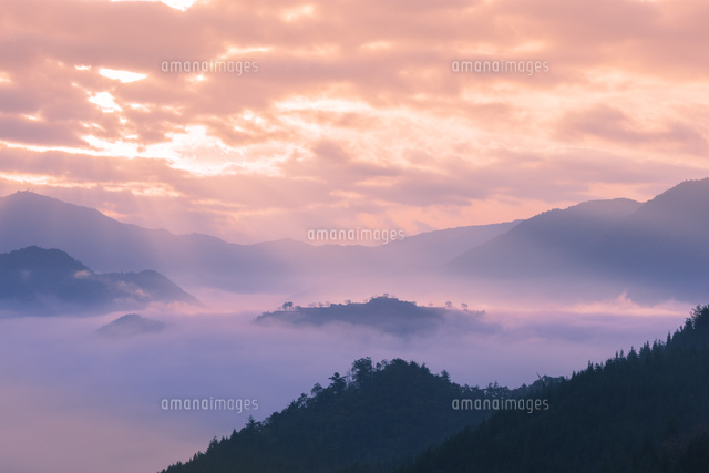 竹田城の雲海
(c)NOBUAKI SUMIDA/SEBUN PHOTO