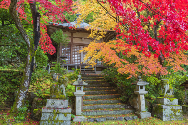 紅葉の護法堂弁財天
(c)NOBUAKI SUMIDA/SEBUN PHOTO