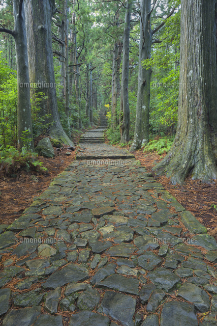 雨の熊野古道
(c)NOBUAKI SUMIDA/SEBUN PHOTO
