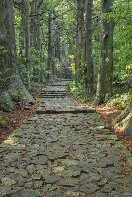 雨の熊野古道
(c)NOBUAKI SUMIDA/SEBUN PHOTO
