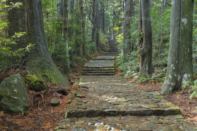 雨の熊野古道
(c)NOBUAKI SUMIDA/SEBUN PHOTO