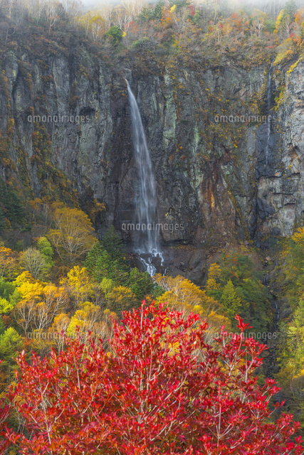 紅葉の米子大瀑布
(c)NOBUAKI SUMIDA/SEBUN PHOTO
