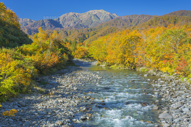 紅葉の越後駒ヶ岳と北ノ又川
(c)NOBUAKI SUMIDA/SEBUN PHOTO