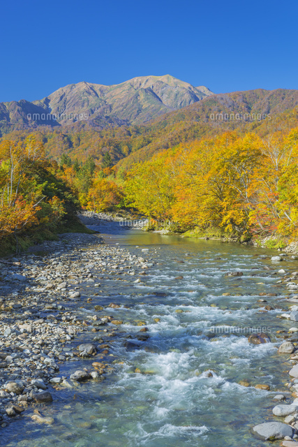 紅葉の越後駒ヶ岳と北ノ又川
(c)NOBUAKI SUMIDA/SEBUN PHOTO