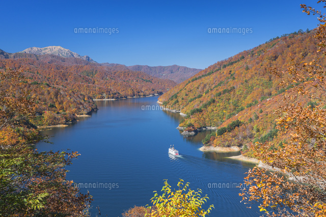 紅葉の奥只見湖と遊覧船
(c)NOBUAKI SUMIDA/SEBUN PHOTO