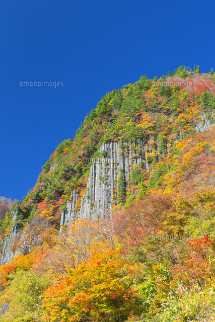布岩の紅葉
(c)NOBUAKI SUMIDA/SEBUN PHOTO