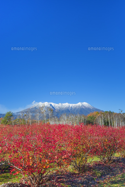 秋の御嶽山と噴煙
(c)NOBUAKI SUMIDA/SEBUN PHOTO