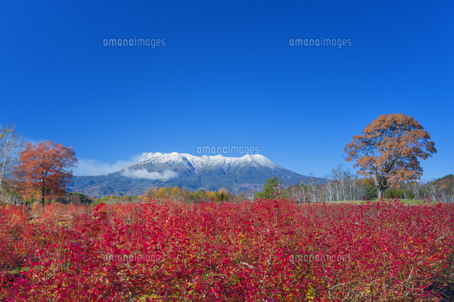 秋の御嶽山と噴煙
(c)NOBUAKI SUMIDA/SEBUN PHOTO
