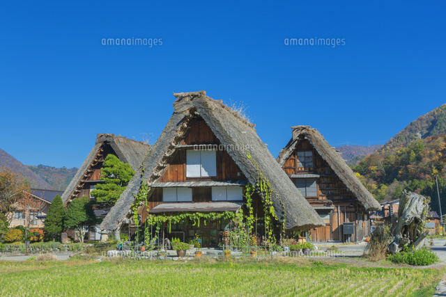 秋の白川郷
(c)NOBUAKI SUMIDA/SEBUN PHOTO