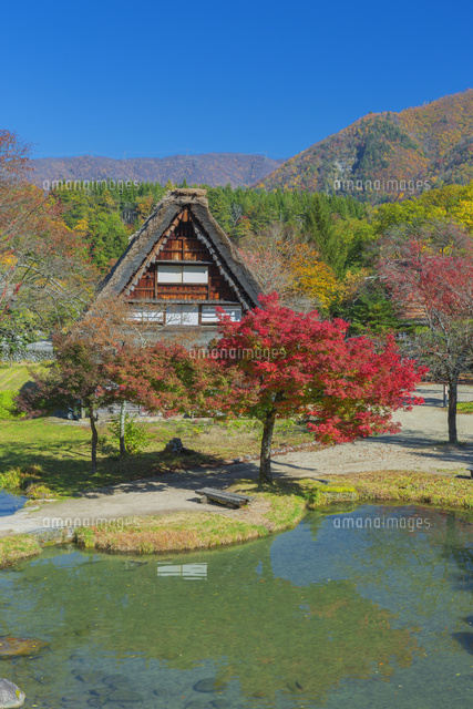 秋の白川郷
(c)NOBUAKI SUMIDA/SEBUN PHOTO