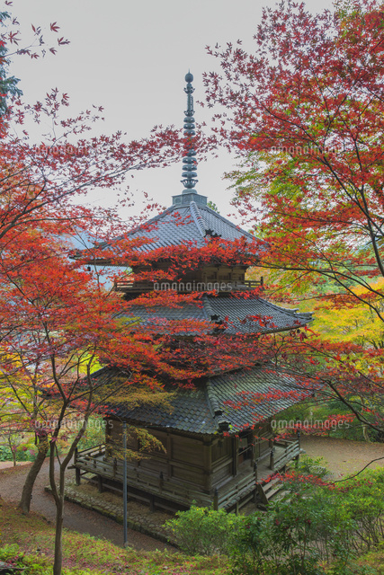 紅葉の高源寺
(c)NOBUAKI SUMIDA/SEBUN PHOTO