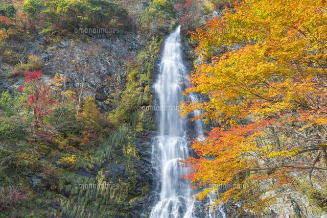 秋の天滝
(c)NOBUAKI SUMIDA/SEBUN PHOTO
