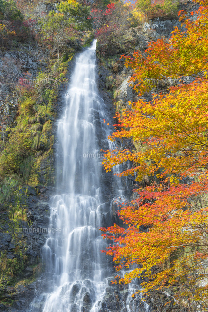 秋の天滝
(c)NOBUAKI SUMIDA/SEBUN PHOTO