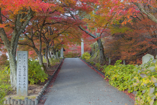 秋の円通寺
(c)NOBUAKI SUMIDA/SEBUN PHOTO