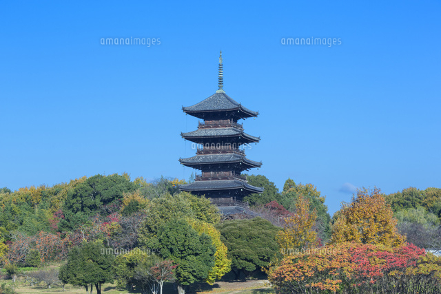 秋の備中国分寺の五重塔
(c)NOBUAKI SUMIDA/SEBUN PHOTO