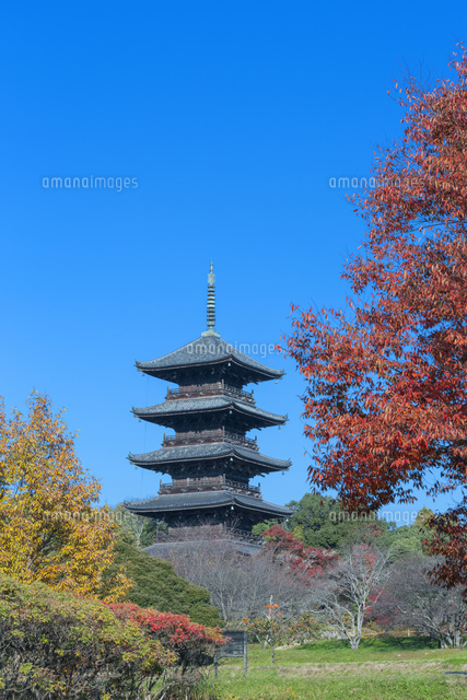 秋の備中国分寺の五重塔
(c)NOBUAKI SUMIDA/SEBUN PHOTO