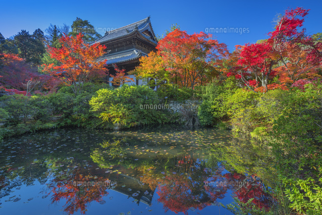秋の宝福寺
(c)NOBUAKI SUMIDA/SEBUN PHOTO