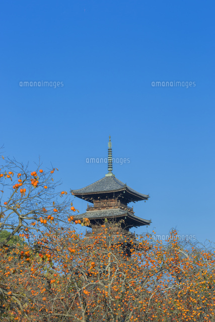 秋の備中国分寺の五重塔
(c)NOBUAKI SUMIDA/SEBUN PHOTO