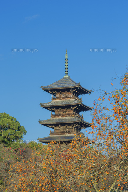 秋の備中国分寺の五重塔
(c)NOBUAKI SUMIDA/SEBUN PHOTO